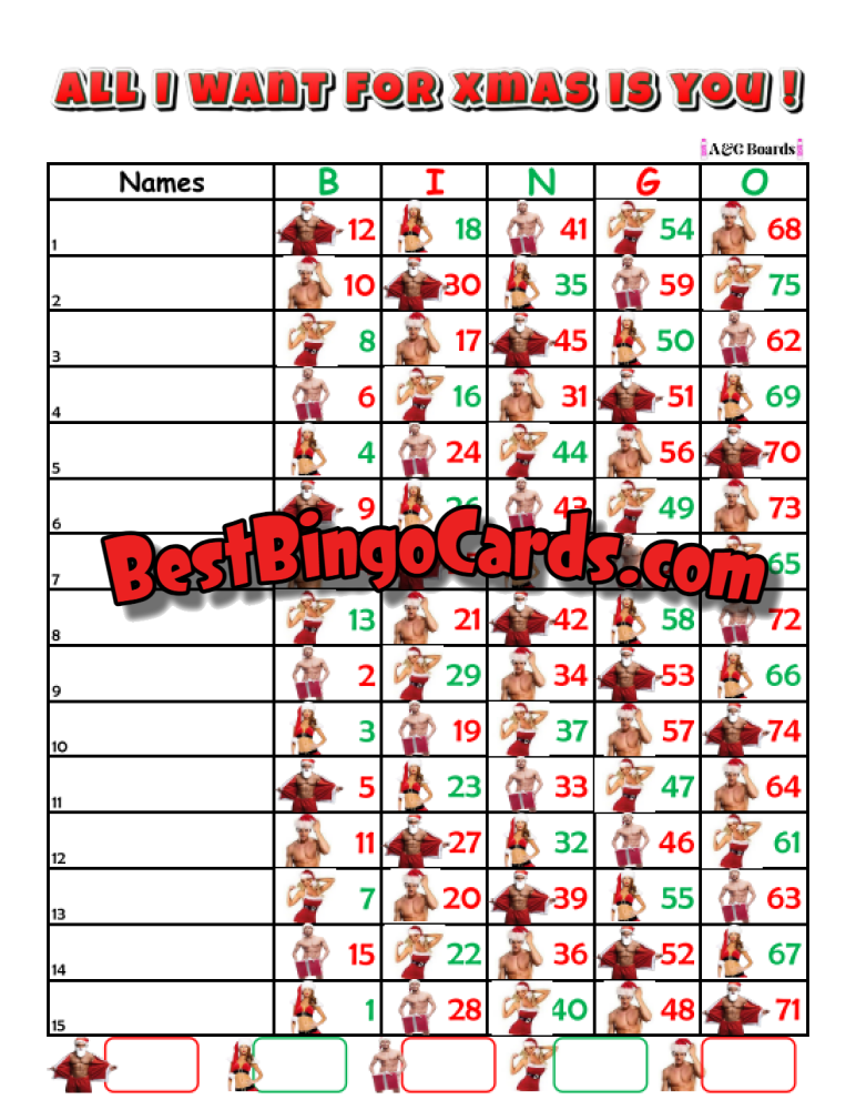 Bingo Boards 1-15 Lines Houdini - All I Want For Xmas Straight Mixed 75 Ball Sets