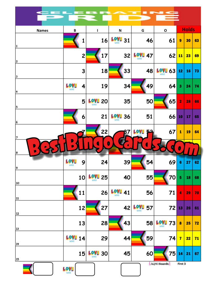 Bingo Boards 1-15 Lines - Pride Meets Holds Straight Mixed 75 Balls Sets