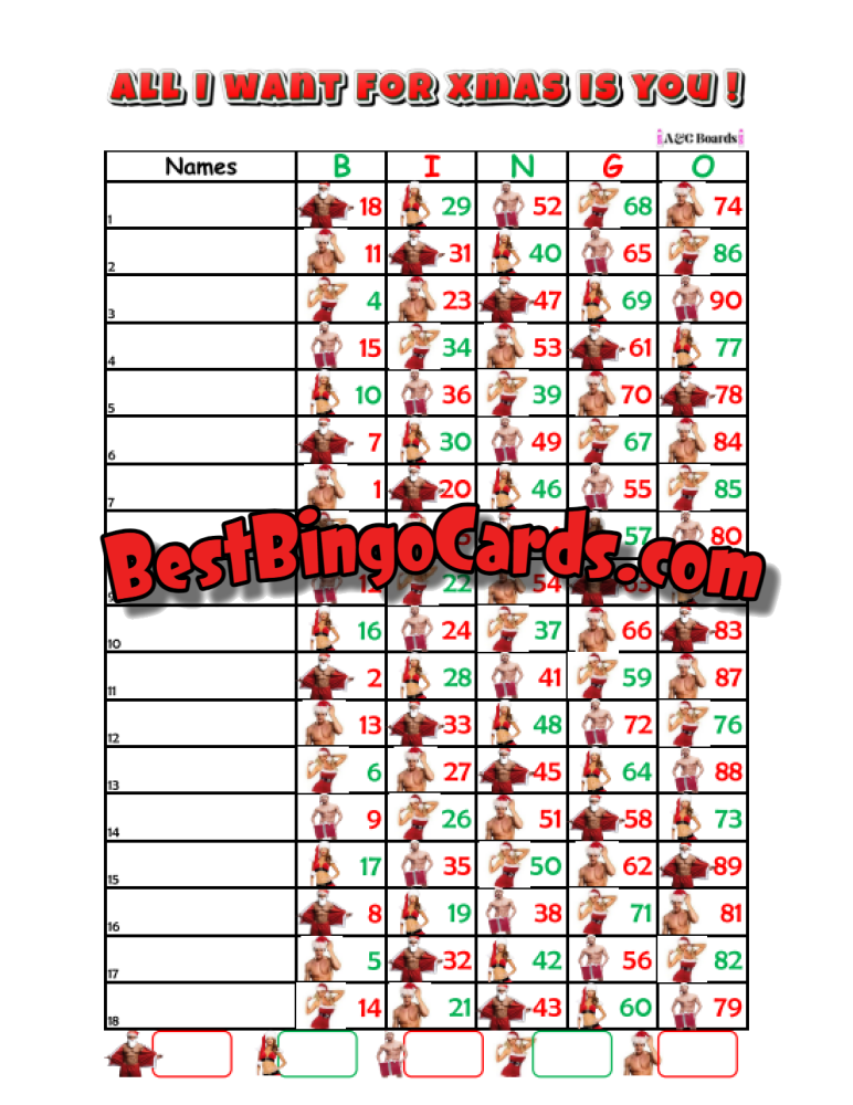 Bingo Boards 1-18 Lines Houdini - All I Want For Xmas Straight Mixed 90 Ball Sets