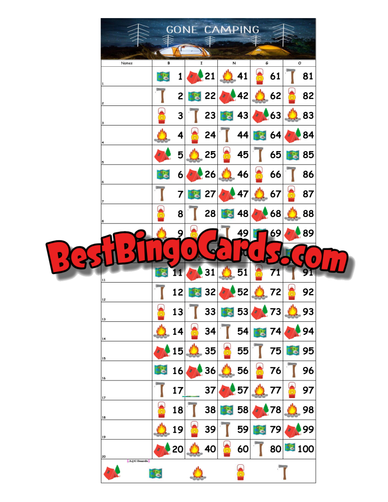 Bingo Boards 1-20 Lines - Camping Straight Mixed 100 Ball Sets