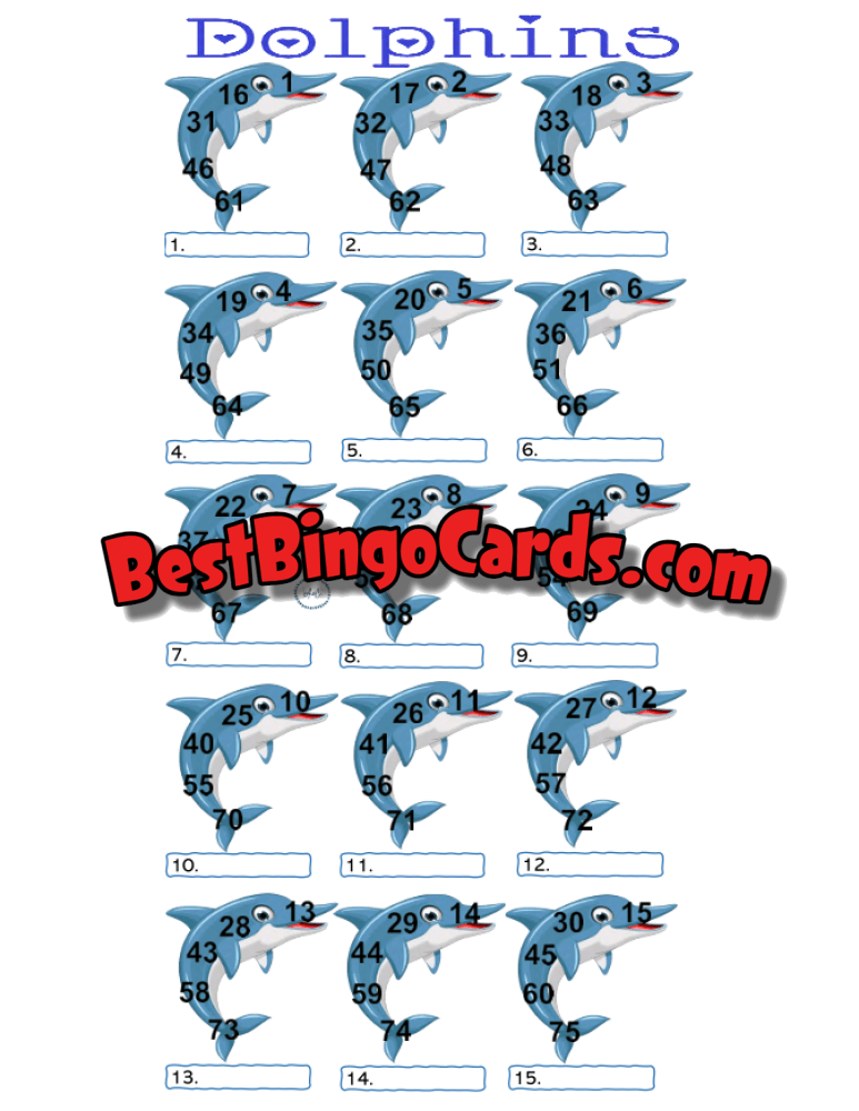 Dolphins Pic Straight And Mixed