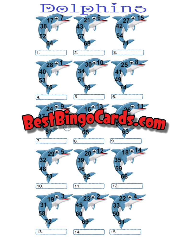 Dolphins Pic Straight And Mixed