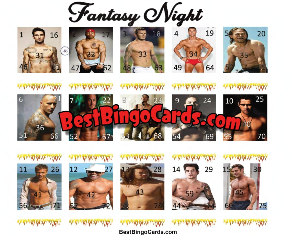 Fantasy Night 75 Ball Picture Bingo Straight And Mixed Sets