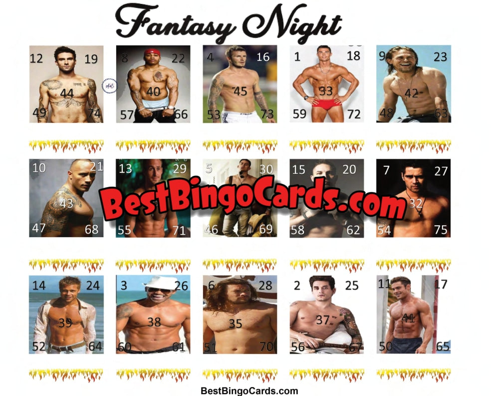 Fantasy Night 75 Ball Picture Bingo Straight And Mixed Sets