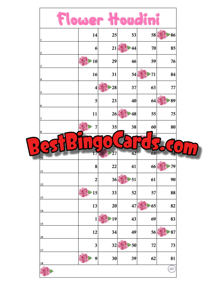 Houdini Flower 18 Lines