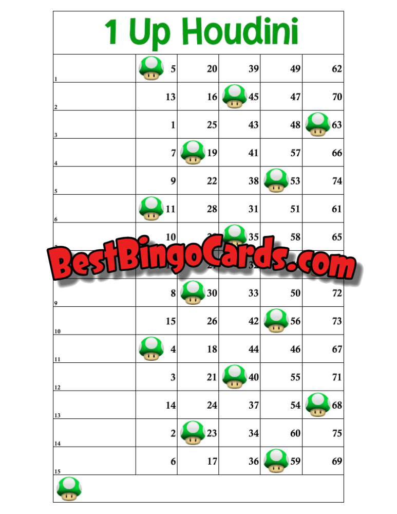 Houdini Package (10 Boards)