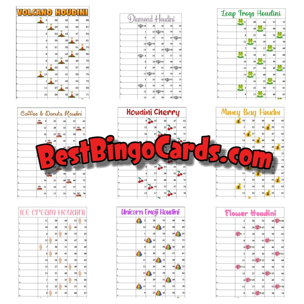 Houdini Package (10 Boards)