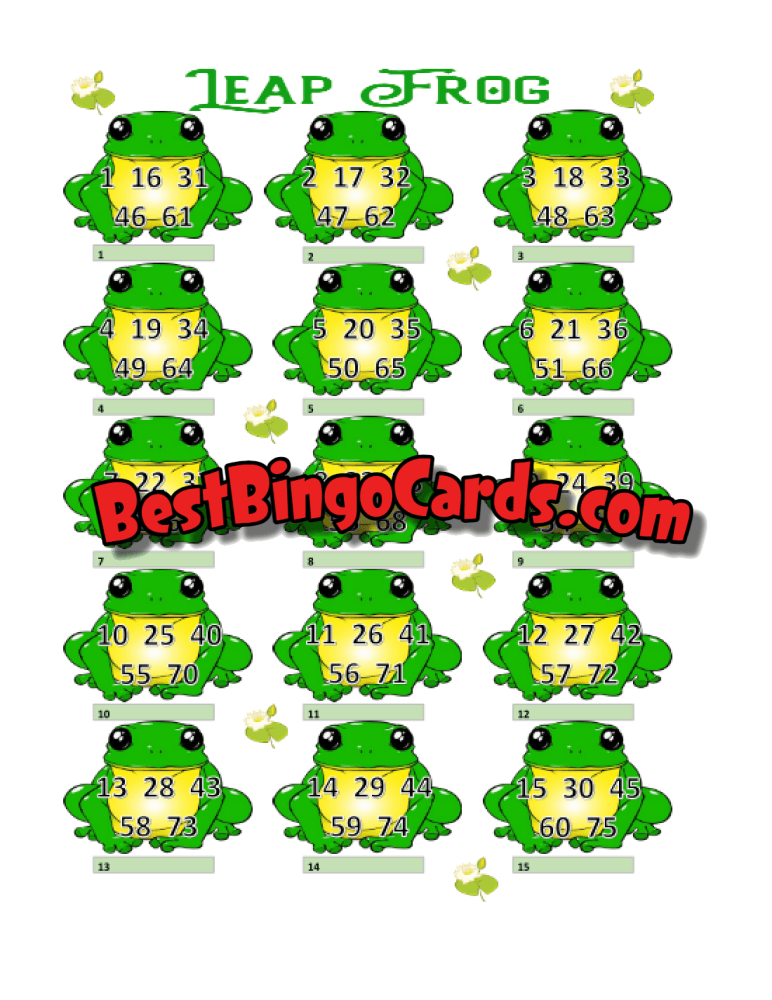 Leap Frog Pic Straight And Mixed