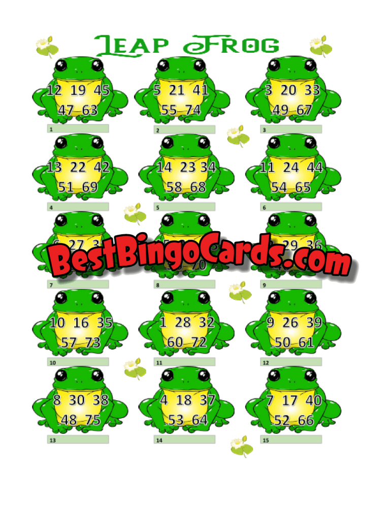 Leap Frog Pic Straight And Mixed