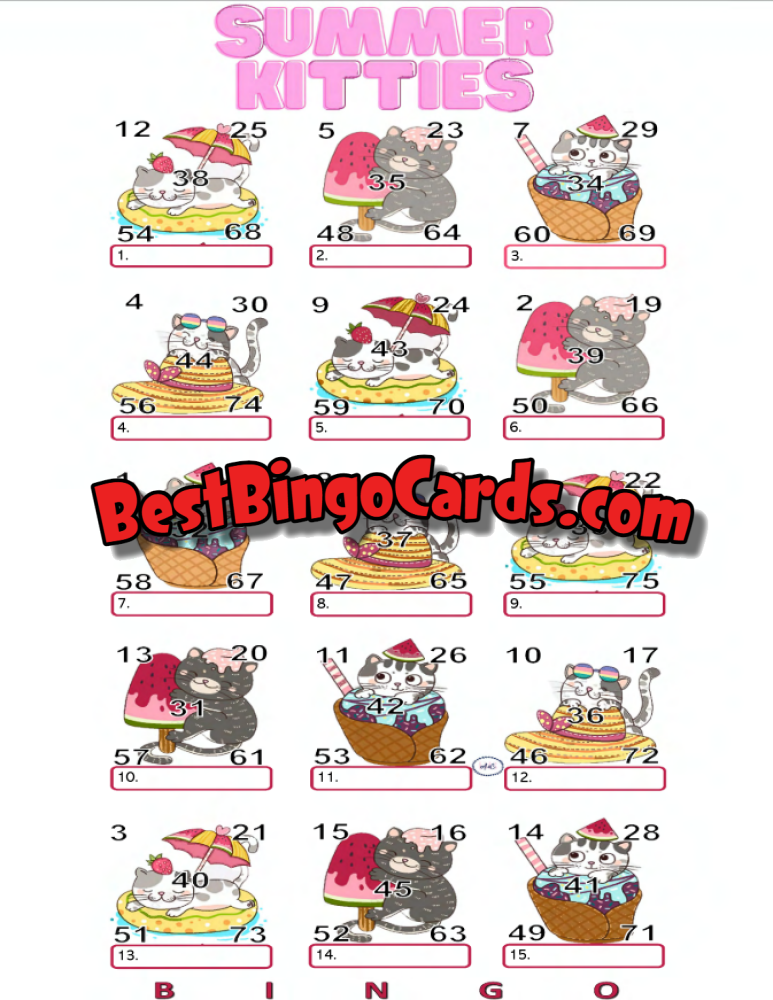 Summer Kitties Pic Straight And Mixed