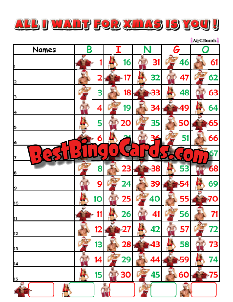 Bingo Boards 1-15 Lines Houdini - All I Want For Xmas Straight Mixed 75 Ball Sets