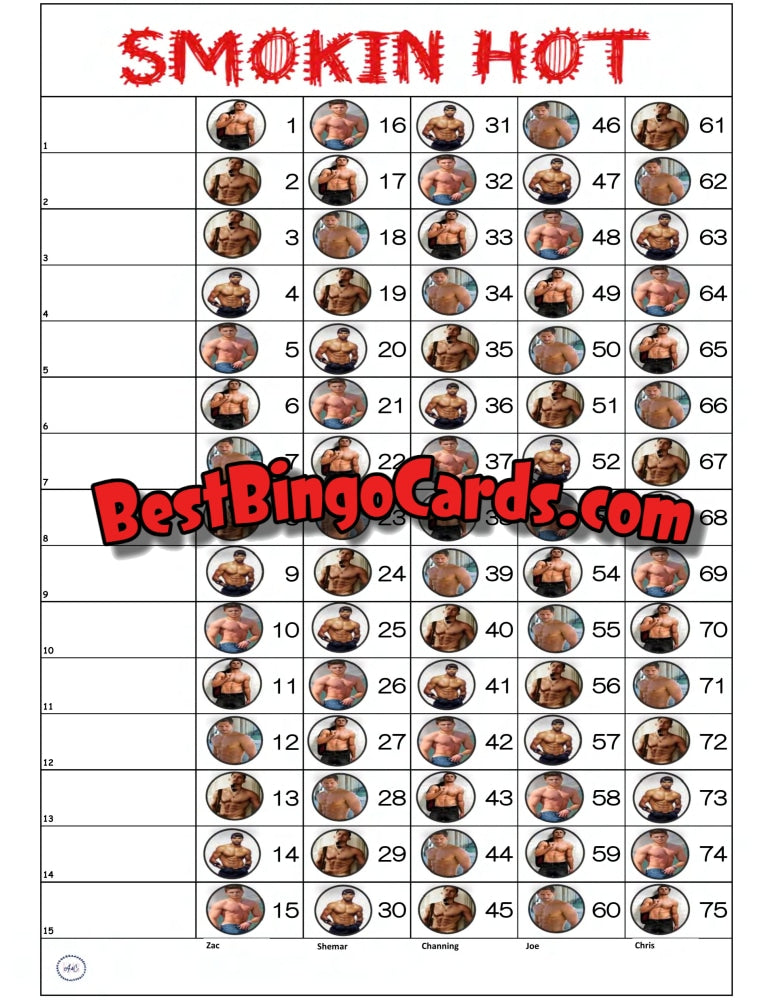 Bingo Boards 1-15 Lines - Smokin Hot Straight Mixed 75 Ball Sets