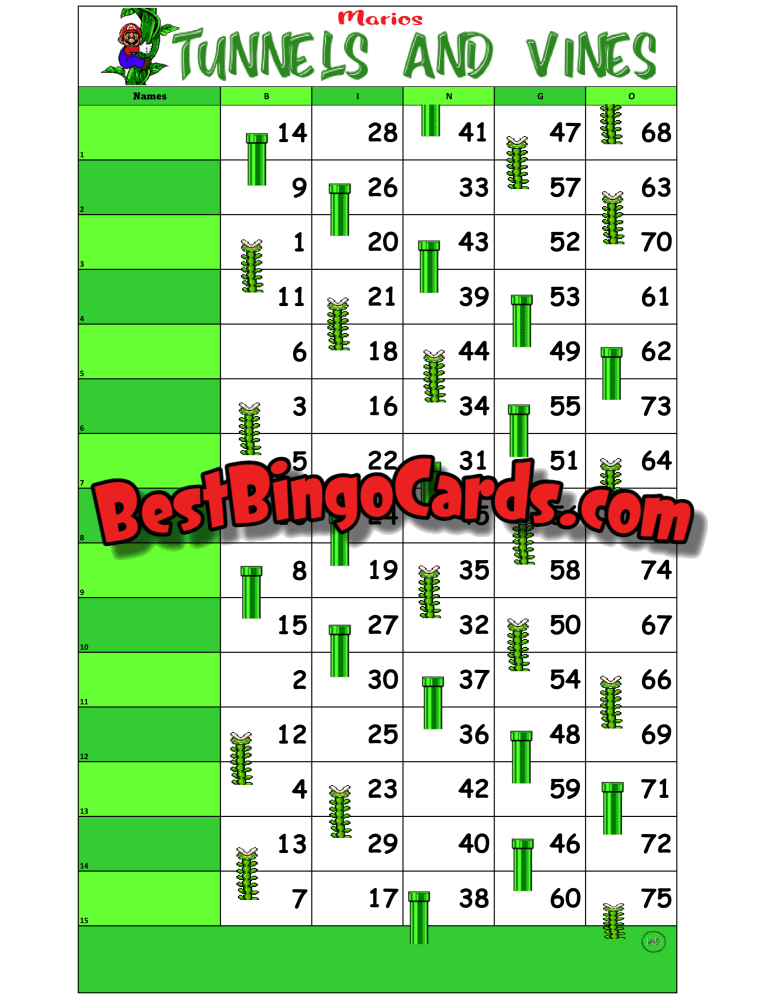 Bingo Boards 1-15 Lines - Tunnels And Vines Straight Mixed 75 Ball Sets