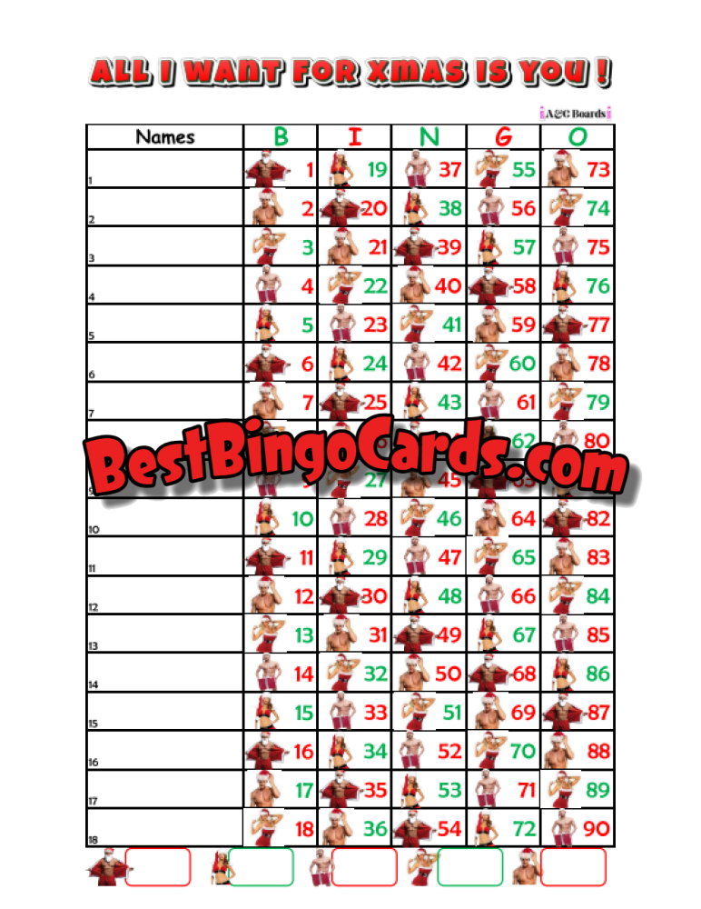 Bingo Boards 1-18 Lines Houdini - All I Want For Xmas Straight Mixed 90 Ball Sets