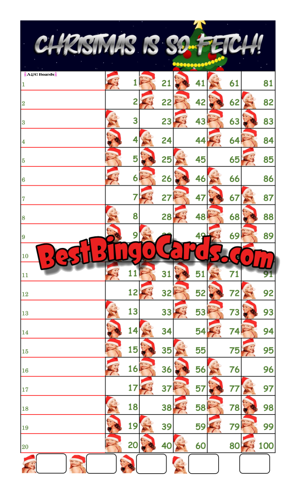 Bingo Boards 1-20 Line - Fetch Straight Mixed 100 Ball Sets