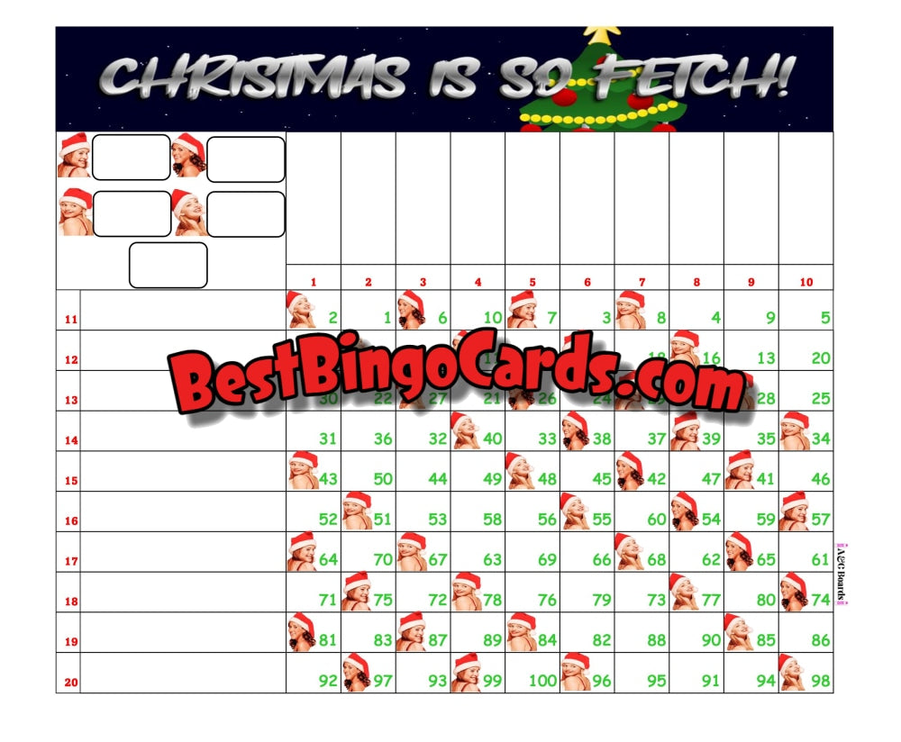 Bingo Boards 1-20 Line Grid - Fetch Straight Mixed 100 Ball Sets