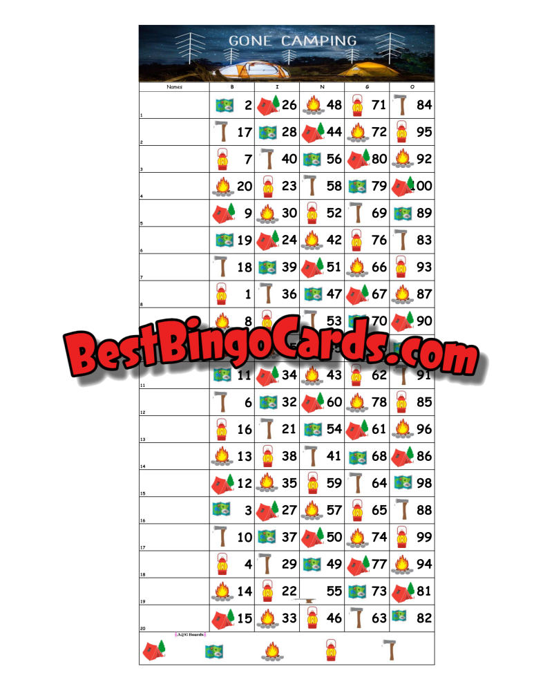 Bingo Boards 1-20 Lines - Camping Straight Mixed 100 Ball Sets