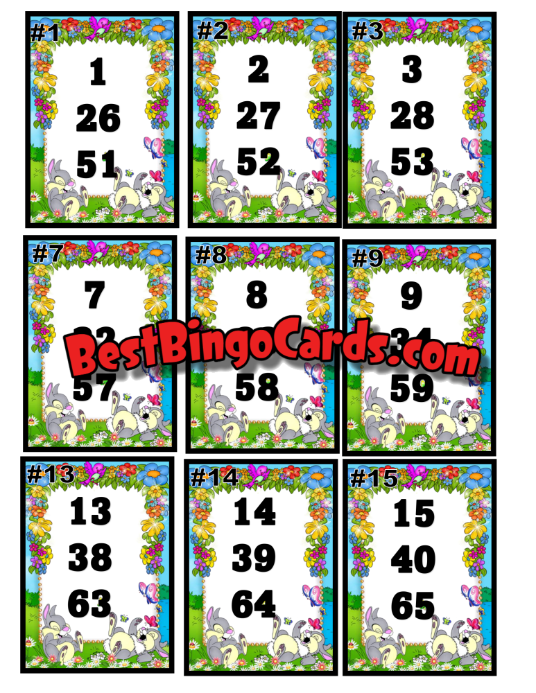 Bingo Boards 1-25 Player Hold - Bunnies Mixed 75 Ball Sets