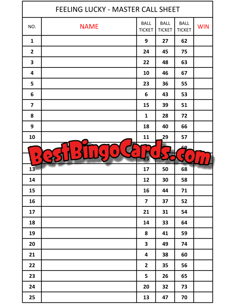 Bingo Boards 1-25 Player Holds - Feeling Lucky Mixed 75 Ball Sets