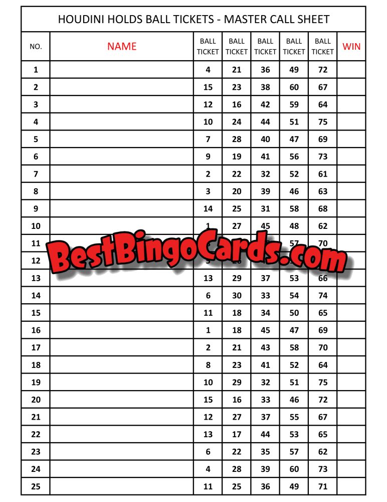 Bingo Boards 1-25 Player Holds Houdini - 75 Ball