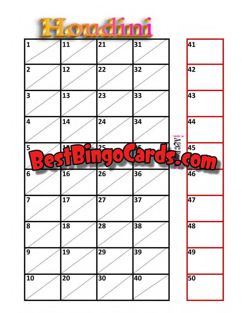 Bingo Boards 1-25 Player Houdini Holds - Summer Party Mixed 75 Ball Sets
