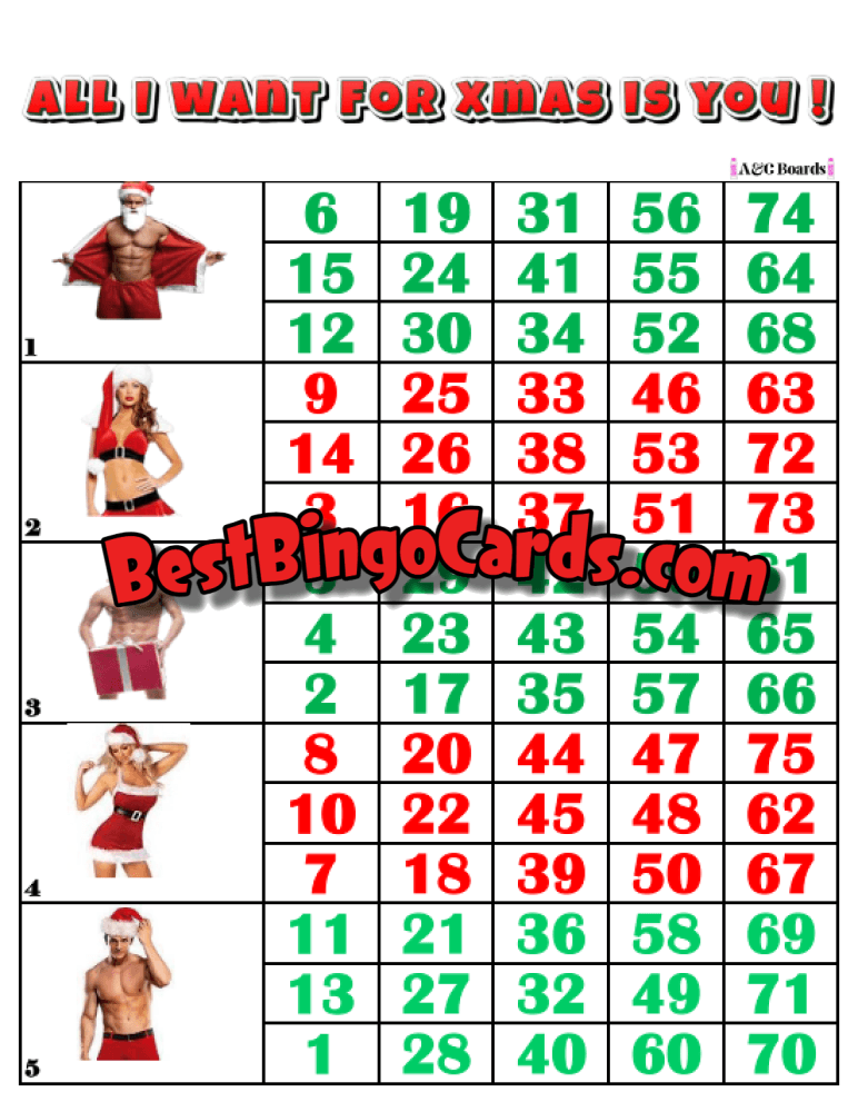 Bingo Boards 1-5 Players Block - All I Want For Xmas Straight Mixed 75 Ball Sets